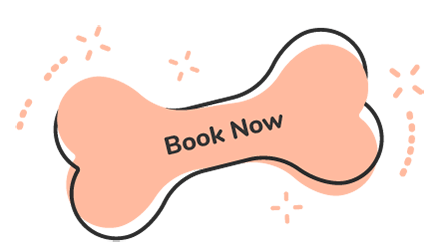 https://barkingmadltd.co.uk/wp-content/uploads/2019/08/text_05.png